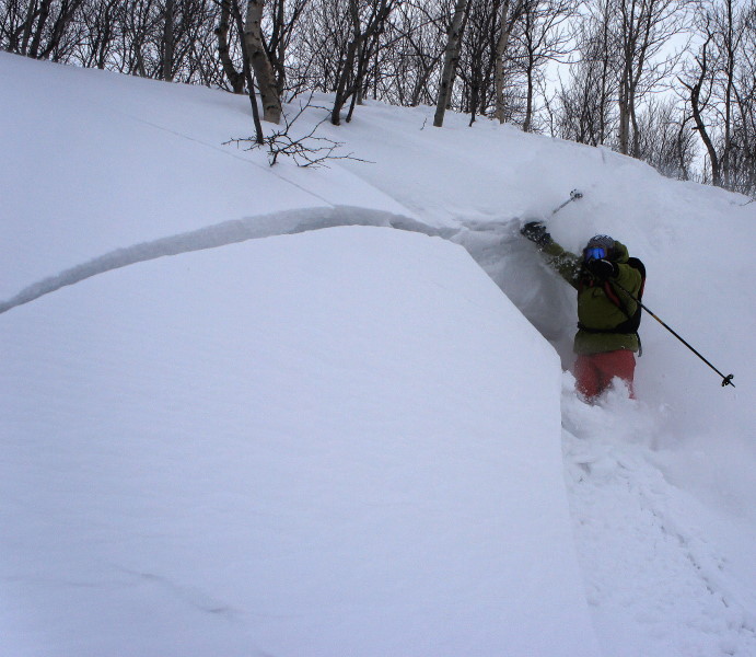 http://ski.spb.ru/conf/uploads/monthly_04_2012/post-4152-1334150238.jpg